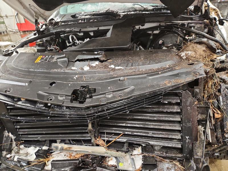 Aukcja sprzedaży 2020 Cadillac Escalade P, vin: 1GYS4CKJ0LR212847, numer aukcji: 73597765