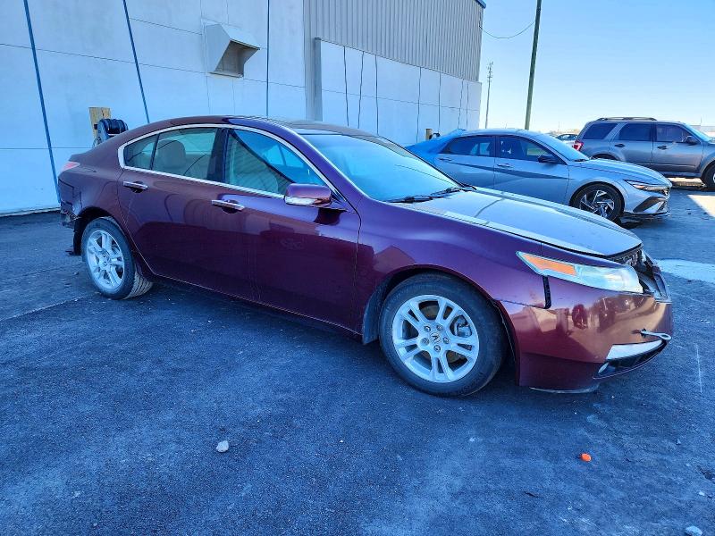 Продажа на аукционе авто 2011 Acura Tl, vin: 19UUA8F56BA000504, номер лота: 75066415