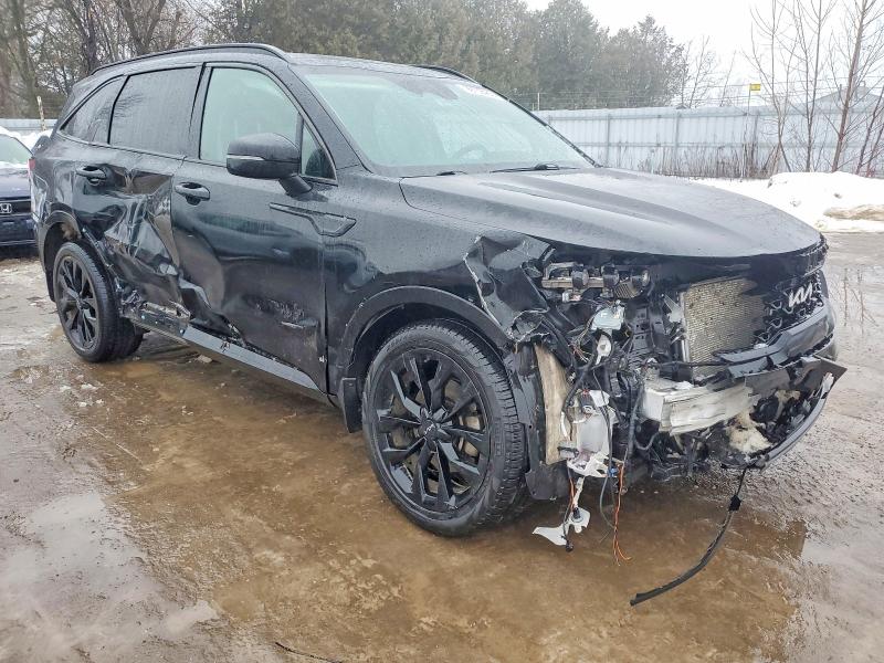 Aukcja sprzedaży 2023 Kia Sorento, vin: 5XYRHDLF2PG187298, numer aukcji: 99738465