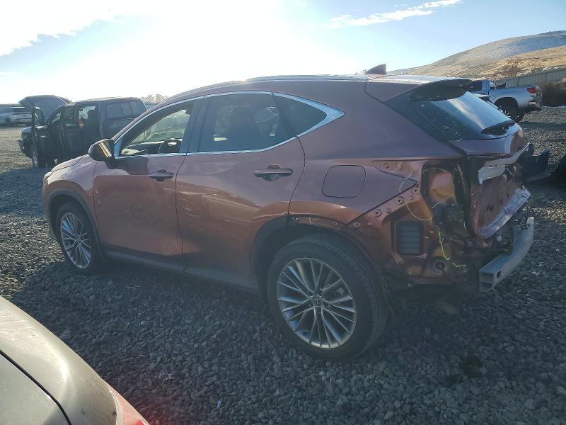 73941065 :رقم المزاد ، 2T2GKCEZ9SC039675 vin ، 2025 Lexus Nx مزاد بيع