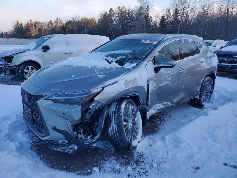Продаж на аукціоні авто 2024 Lexus Nx, vin: 2T2GKCEZ6RC030202, номер лоту: 98218655