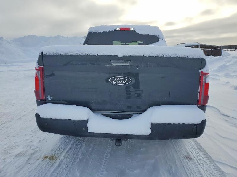Aukcja sprzedaży 2025 Ford F150, vin: 1FTEW3LP6SKE07004, numer aukcji: 72621675