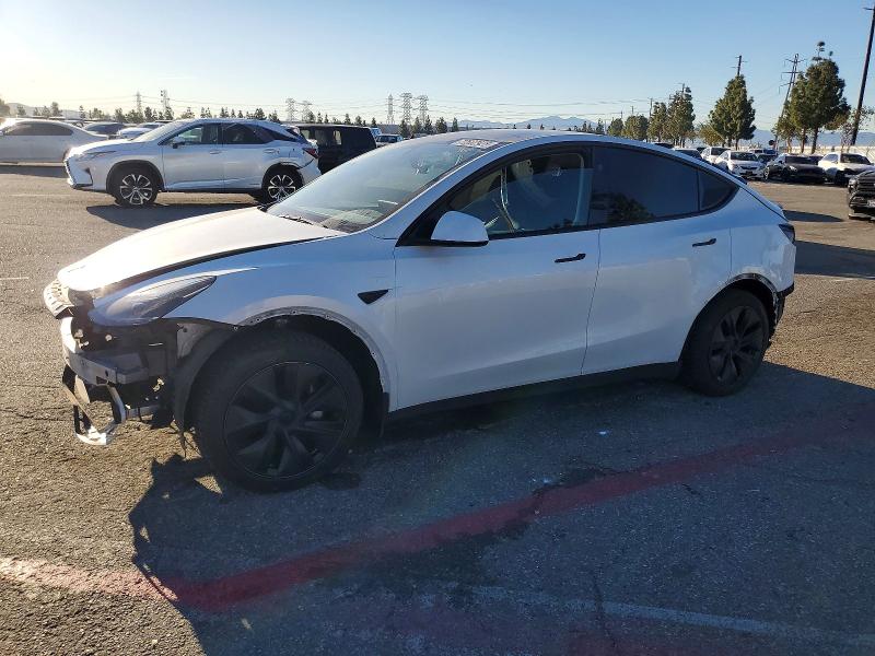 Aukcja sprzedaży 2024 Tesla Model Y, vin: 7SAYGDED8RF153048, numer aukcji: 72662925