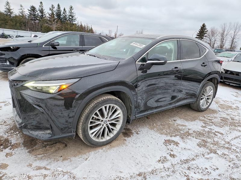 Aukcja sprzedaży 2023 Lexus Nx, vin: 2T2GGCEZ2PC018546, numer aukcji: 99167285