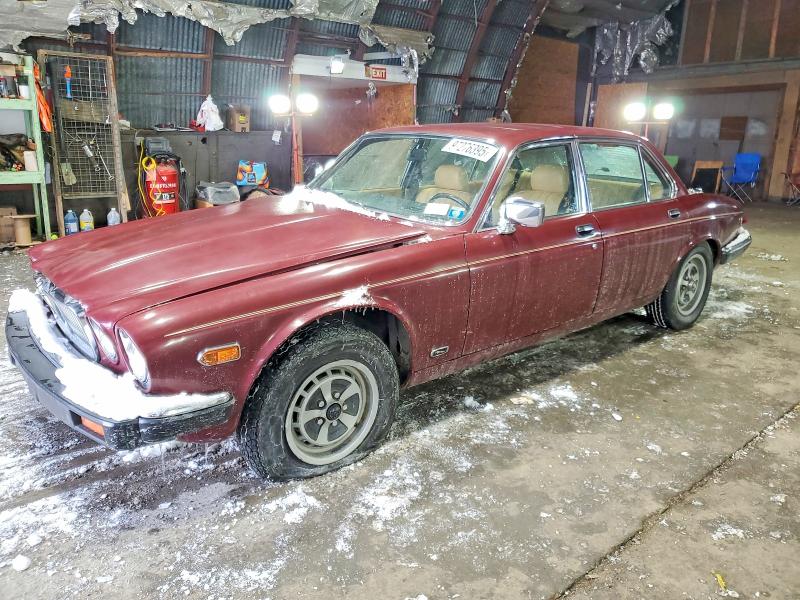 97276395 :رقم المزاد ، SAJAV134XDC356391 vin ، 1983 Jaguar Xj6 مزاد بيع