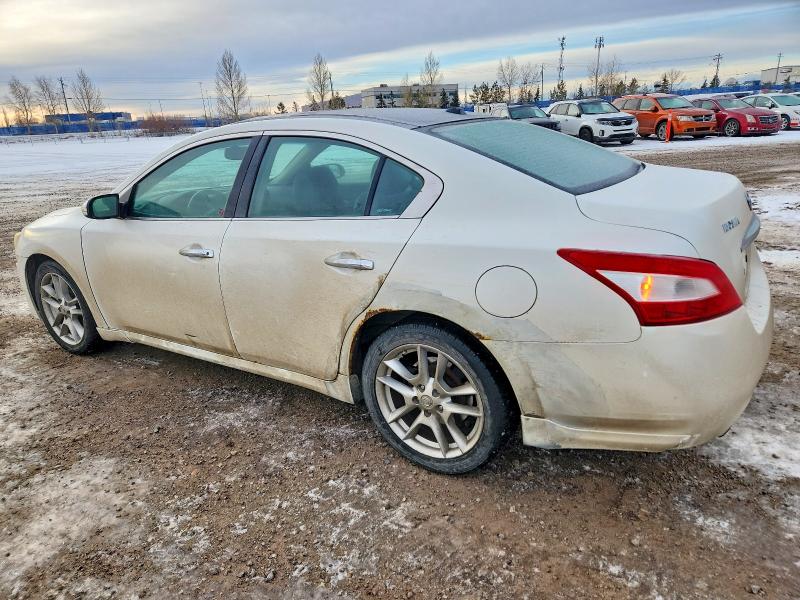 Продажа на аукционе авто 2009 Nissan Maxima 3.5 Sv 4dr, vin: 1N4AA51E09C858904, номер лота: 74993805