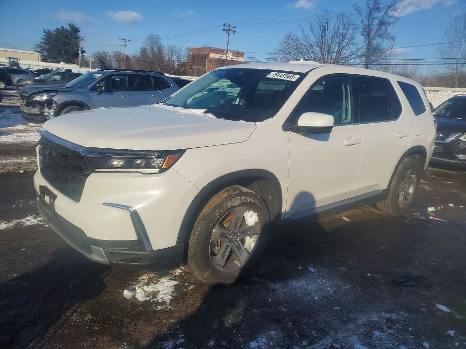 Продаж на аукціоні авто 2024 Honda Pilot, vin: 5FNYG1H42RB016811, номер лоту: 75449565