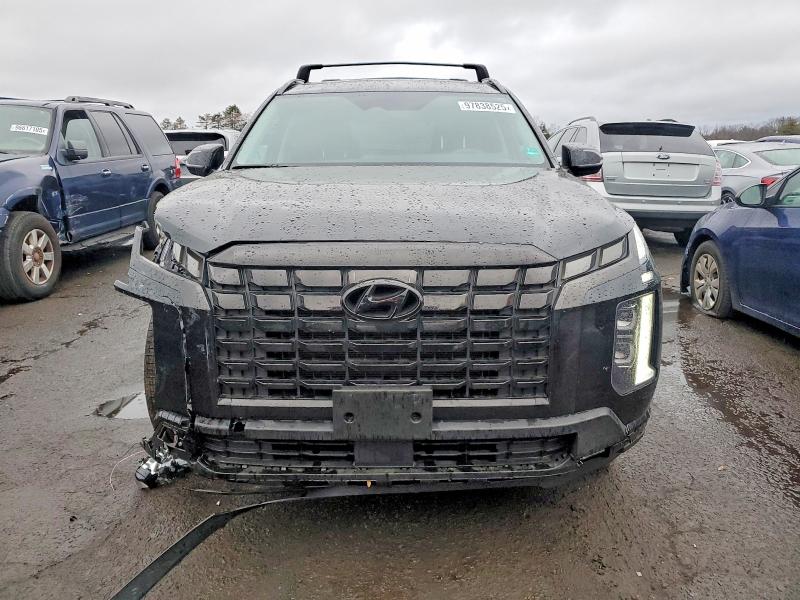 Aukcja sprzedaży 2024 Hyundai Palisade, vin: KM8R3DGE9RU741613, numer aukcji: 97838525