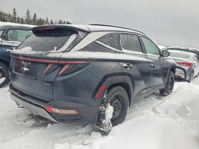 2023 Hyundai Tucson Sel მანქანა იყიდება აუქციონზე, vin: KM8JCCAEXPU255227, აუქციონის ნომერი: 72529545