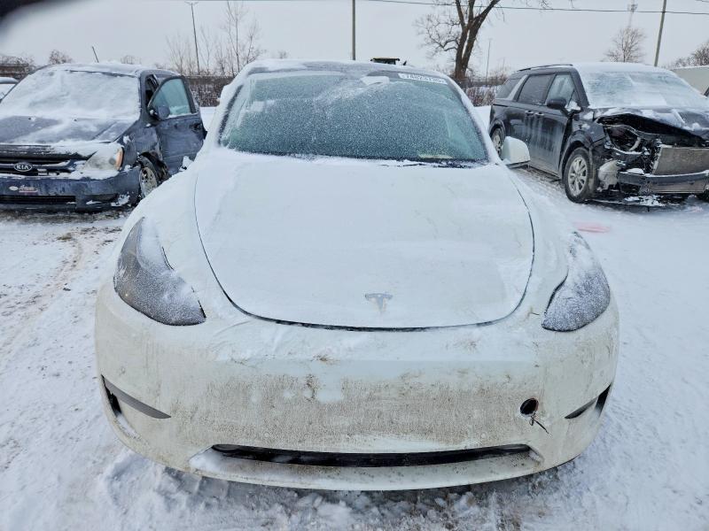 Продажа на аукционе авто 2021 Tesla Model Y, vin: 5YJYGAEE8MF231759, номер лота: 74823735