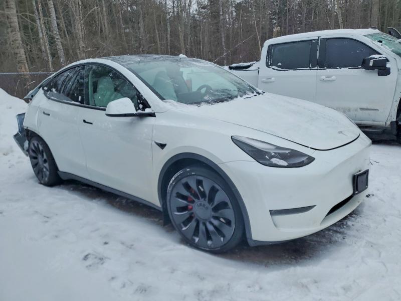 Auction sale of the 2022 Tesla Truck/van Model Y 75d Performa, vin: 7SAYGDEF4NF515601, lot number: 73654995
