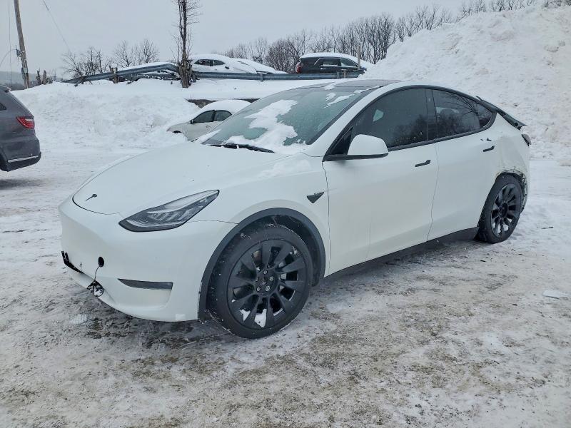 Продажа на аукционе авто 2023 Tesla Model Y, vin: 7SAYGDEE6PA113280, номер лота: 74467915
