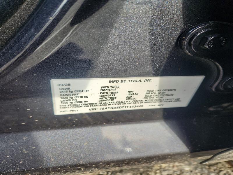 Продаж на аукціоні авто 2026 Tesla Model Y, vin: 7SAYGDED2TF443440, номер лоту: 74814635