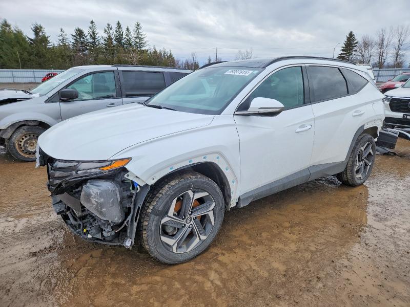 Продажа на аукционе авто 2024 Hyundai Tucson, vin: KM8JCCD1XRU233188, номер лота: 98397915