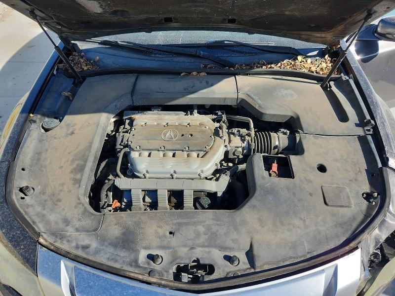 Продаж на аукціоні авто 2009 Acura Tl, vin: 19UUA86209A025706, номер лоту: 99904595