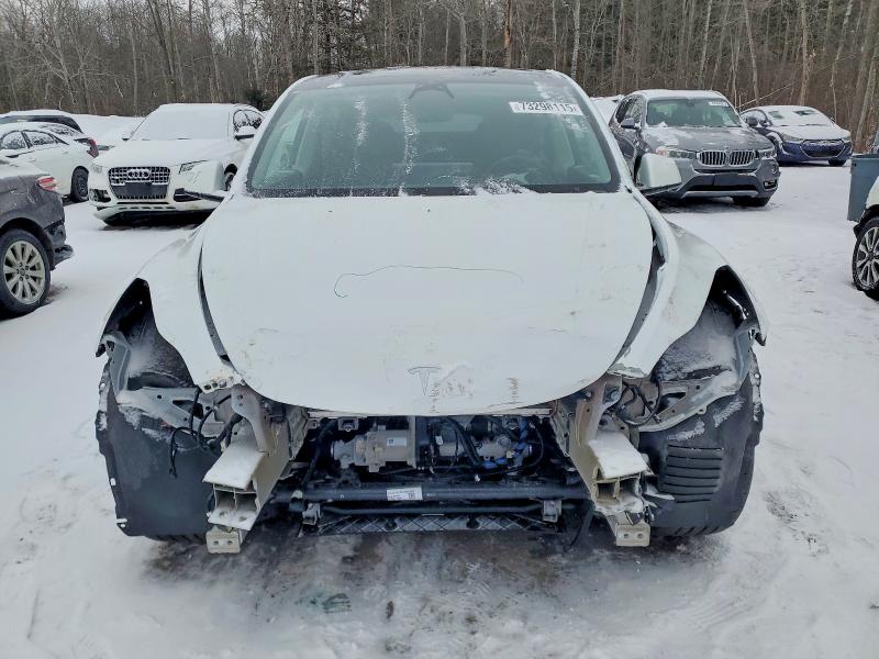 Aukcja sprzedaży 2023 Tesla Model Y, vin: 7SAYGDEE9PF775910, numer aukcji: 73298115