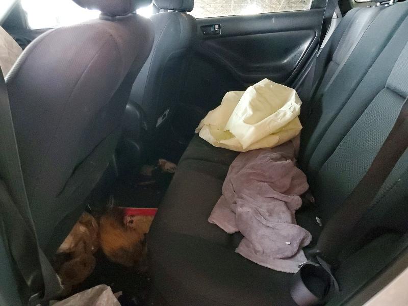 98174035 :رقم المزاد ، 5Y2SL62804Z450688 vin ، 2004 Pontiac Vibe مزاد بيع