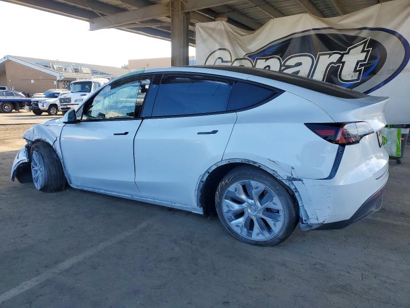 Aukcja sprzedaży 2023 Tesla Model Y, vin: 7SAYGDEE5PF866981, numer aukcji: 74276795