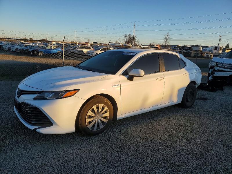 Aukcja sprzedaży 2019 Toyota Camry, vin: 4T1B31HK4KU510323, numer aukcji: 74434455