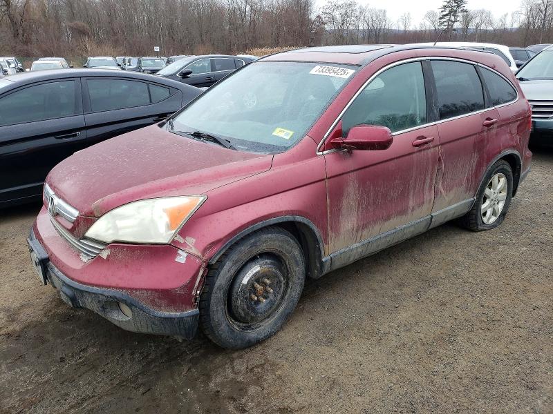 Auction sale of the 2009 Honda Cr-v Exl, vin: 5J6RE48789L057277, lot number: 73395425