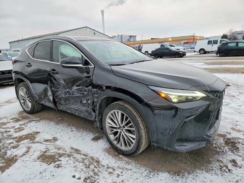 Aukcja sprzedaży 2023 Lexus Nx, vin: 2T2GGCEZ2PC018546, numer aukcji: 99167285