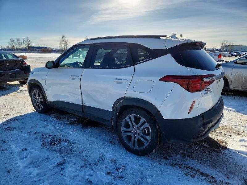 Aukcja sprzedaży 2023 Kia Seltos, vin: KNDEPCAA3P7388496, numer aukcji: 74978785