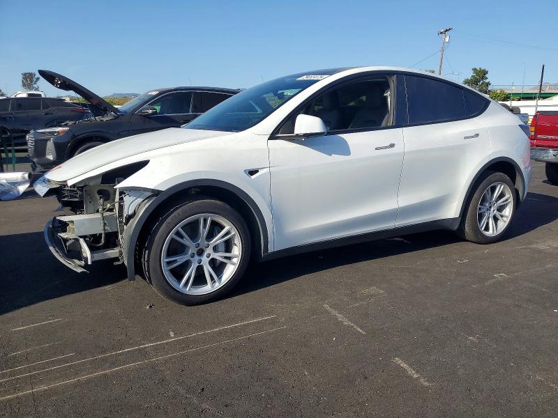 Aukcja sprzedaży 2023 Tesla Model Y, vin: 7SAYGDEE3PA149735, numer aukcji: 73462475