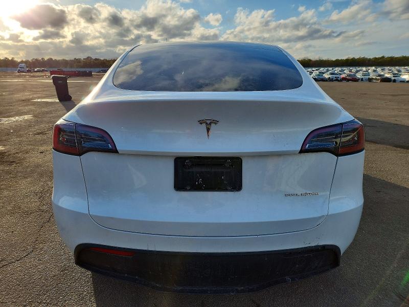 Продажа на аукционе авто 2024 Tesla Model Y, vin: 7SAYGDEE8RA250921, номер лота: 74026775