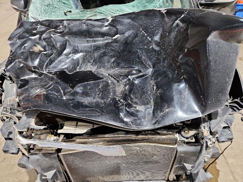 Aukcja sprzedaży 2017 Kia Sorento, vin: 5XYPKDA5XHG197601, numer aukcji: 99479475