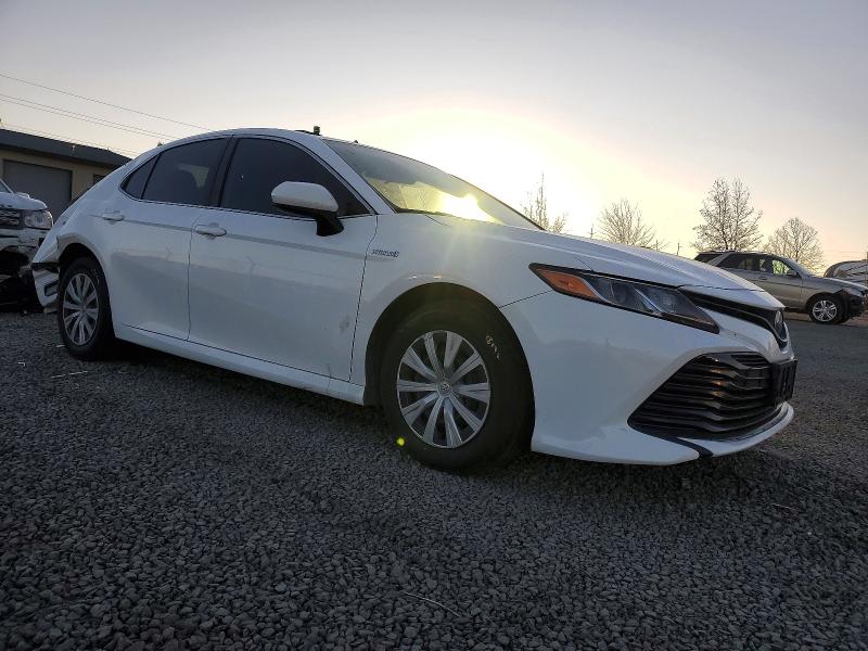 74434455 :رقم المزاد ، 4T1B31HK4KU510323 vin ، 2019 Toyota Camry مزاد بيع