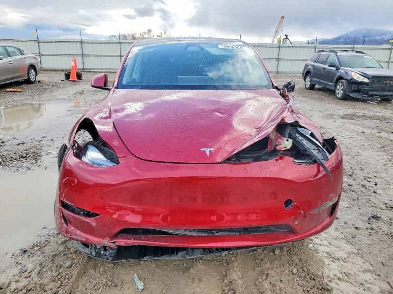 Продажа на аукционе авто 2024 Tesla Model Y, vin: 7SAYGDEE6RA222325, номер лота: 99365645