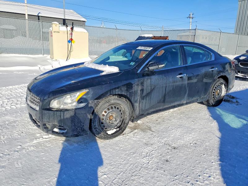 Aukcja sprzedaży 2011 Niss Maxima 3.5 S/sv, vin: 1N4AA5AP3BC860685, numer aukcji: 74736925