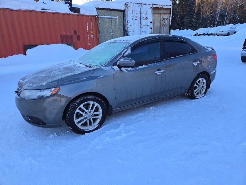 Продаж на аукціоні авто 2012 Kia Forte Ex, vin: KNAFU4A21C5629440, номер лоту: 92342605
