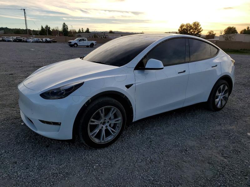 Aukcja sprzedaży 2024 Tesla Model Y, vin: 7SAYGDEEXRF088762, numer aukcji: 73665945