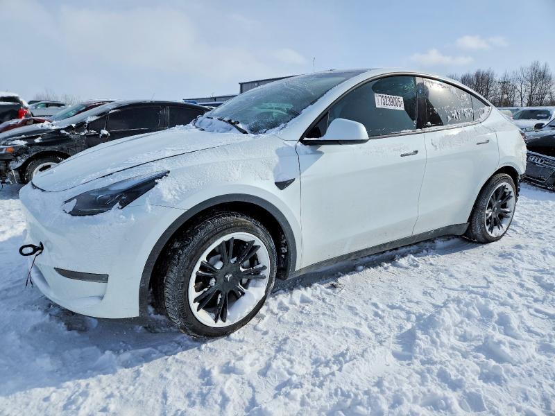 Продаж на аукціоні авто 2024 Tesla Model Y, vin: 7SAYGDEDXRF186701, номер лоту: 73239005