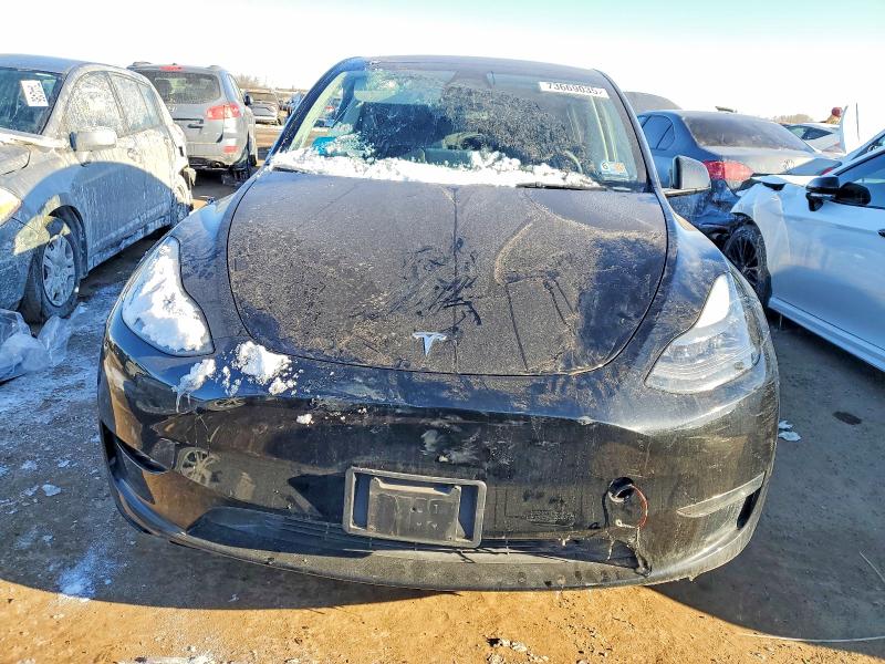 Продаж на аукціоні авто 2024 Tesla Model Y, vin: 7SAYGDEE6RA220042, номер лоту: 73669035