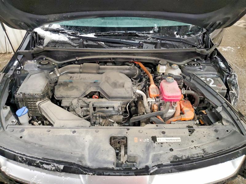 2024 Kia Sportage მანქანა იყიდება აუქციონზე, vin: KNDPUCDG8R7136764, აუქციონის ნომერი: 98722065
