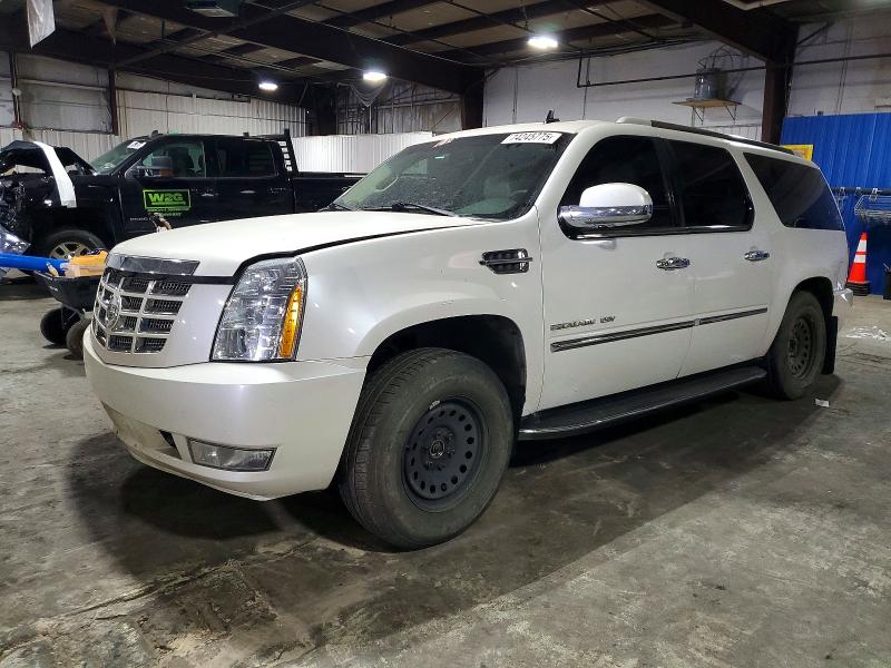 Aukcja sprzedaży 2011 Cadillac Escalade, vin: 1GYS4HEF6BR347740, numer aukcji: 74245775