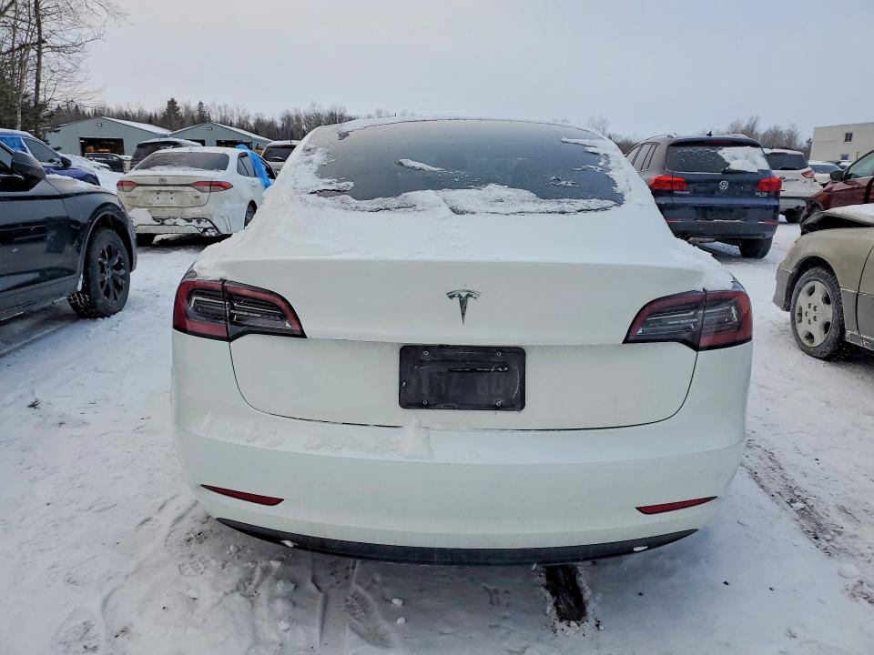 74037655 :رقم المزاد ، 5YJ3E1EA7PF557084 vin ، 2023 Tesla Model 3 مزاد بيع