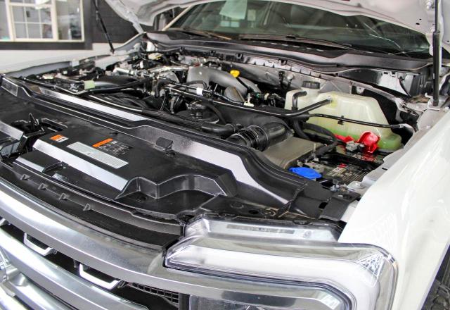 2024 Ford F350 Super მანქანა იყიდება აუქციონზე, vin: 1FT8W3BT6REF94393, აუქციონის ნომერი: 75403765
