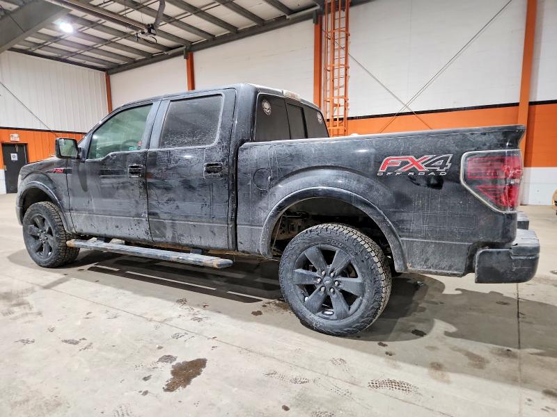 Продаж на аукціоні авто 2012 Ford F150, vin: 1FTFW1EF4CFB30523, номер лоту: 73983535