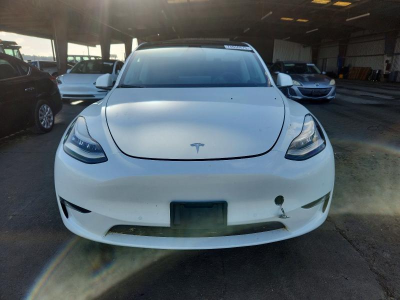74650675 :رقم المزاد ، 5YJYGDEE5MF068456 vin ، 2021 Tesla Model Y مزاد بيع