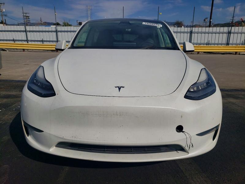 74568225 :رقم المزاد ، 5YJYGDEE4MF096670 vin ، 2021 Tesla Model Y مزاد بيع