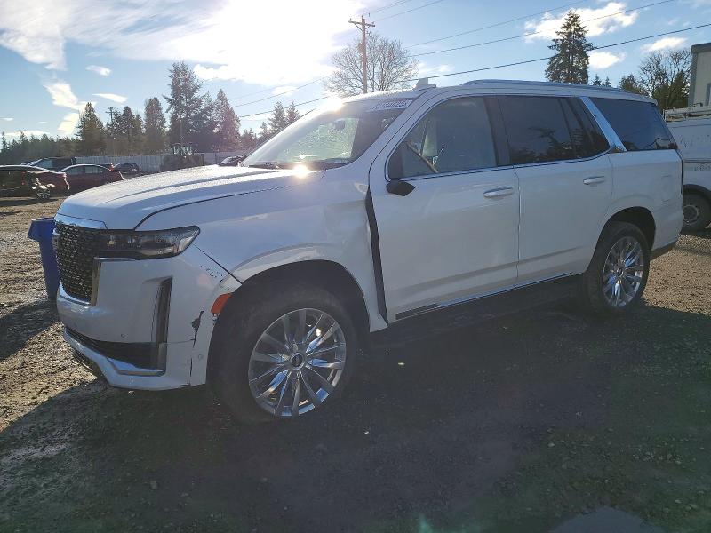 2024 Cadillac Escalade მანქანა იყიდება აუქციონზე, vin: 1GYS4BKL7RR362667, აუქციონის ნომერი: 72484625