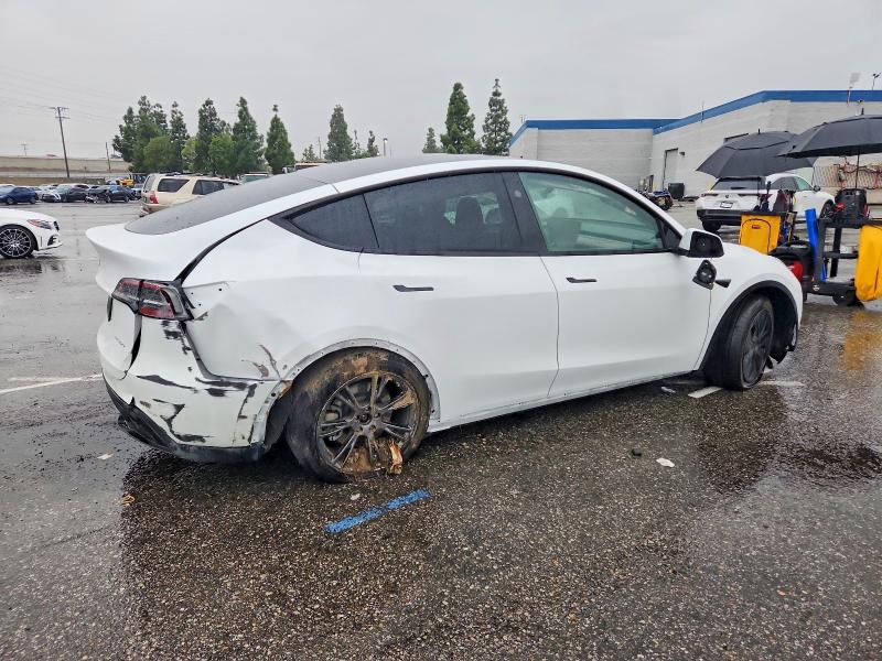 2024 Tesla Model Y მანქანა იყიდება აუქციონზე, vin: 7SAYGDEE8RF165337, აუქციონის ნომერი: 99308815