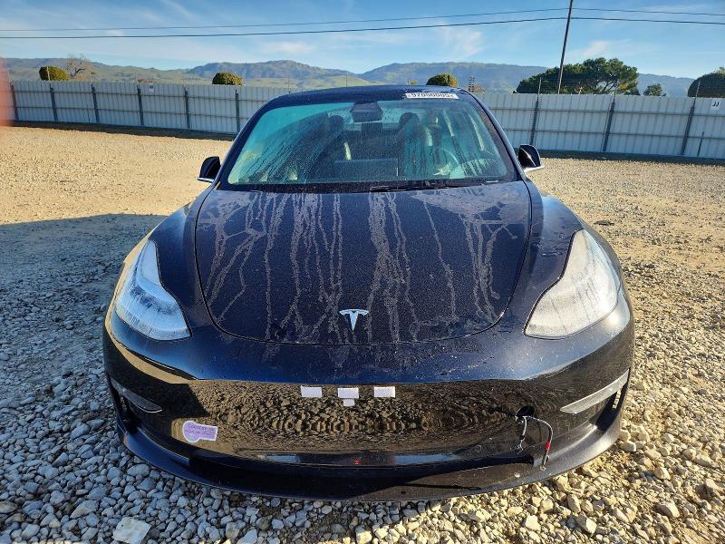 97050005 :رقم المزاد ، 5YJ3E1EB0KF384493 vin ، 2019 Tesla Model 3 مزاد بيع