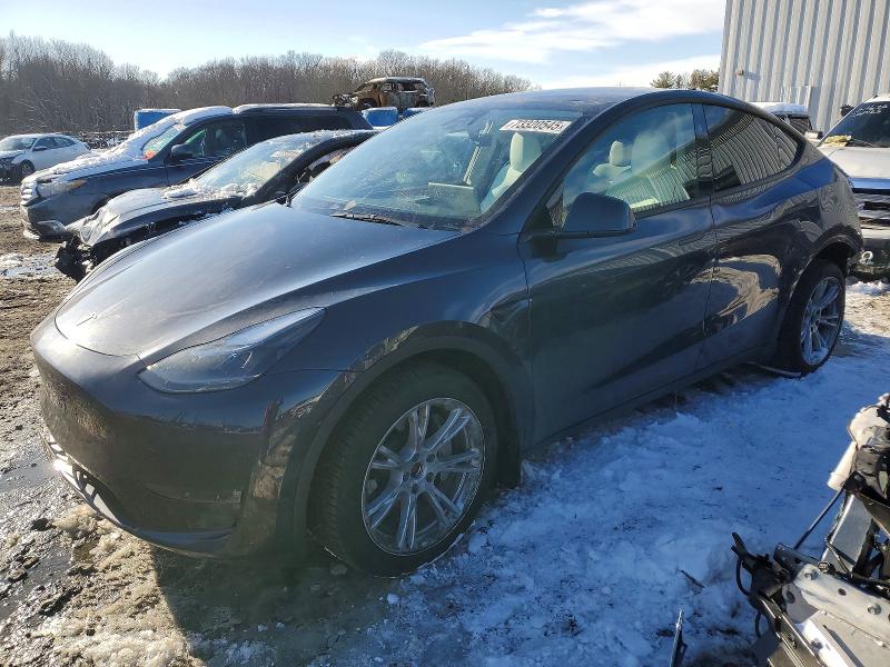 Продажа на аукционе авто 2024 Tesla Model Y, vin: 7SAYGDEE7RA245807, номер лота: 73320545