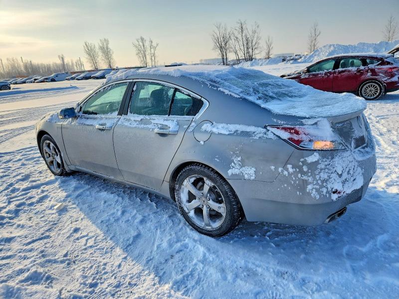 Auction sale of the 2009 Acura Tl, vin: 19UUA96549A801917, lot number: 73020345