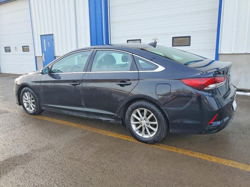72803155 :رقم المزاد ، 5NPE24AF1KH794944 vin ، 2019 Hyundai Sonata مزاد بيع