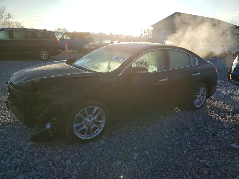 49933386 :رقم المزاد ، 1N4AA5AP4AC866820 vin ، 2010 Niss Maxima مزاد بيع